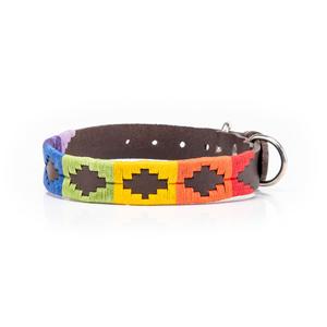 vonblank Hundehalsband 767 regenbogen / bunt